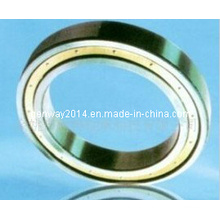 Thin-Walled Deep Groove Ball Bearing (6801)